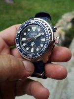 IMG_20200811_175339.jpg