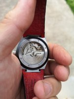 IMG_20200811_173657.jpg