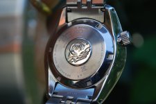 padi-diver-06.jpg