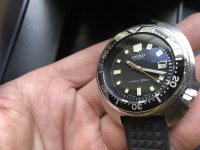 IMG_3518.jpeg IMG_3518.jpeg