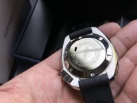 IMG_3519.jpeg IMG_3519.jpeg