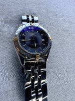 IMG_4079.jpeg IMG_4079.jpeg