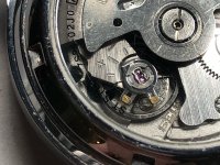 IMG_3850.jpeg