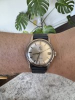 IMG_3743.jpeg