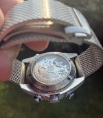 IMG_1105.jpeg