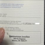 IMG_1913.jpeg