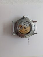 PXL_20201020_173126429.jpg