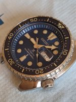 PXL_20201114_140728991.jpg