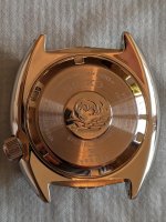 PXL_20201114_140643655.MP.jpg