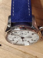iwc5.jpg