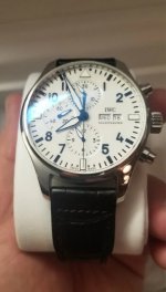 iwc13.jpg