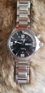 20190224_124822.jpg 20190224_124822.jpg