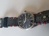 20201229_101646.jpg