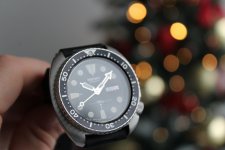 IMG-1302.jpg