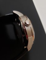 IWC4.jpg