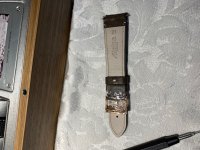 IMG_2106.jpg