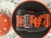 55295484-3314-4CE1-B7BB-87CCF37B9802.jpg