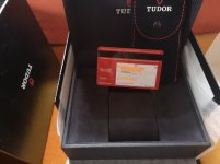 tudor10.jpg