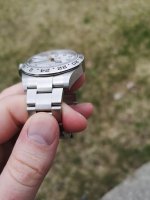 polar6.jpg