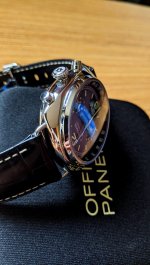 PAM288-3.jpg