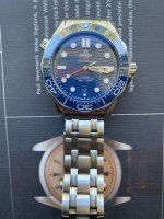 thumbnail_IMG_1309.jpg