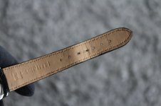 shr_1874.jpg