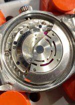 9ADF02E0-F281-4A3A-BA26-F0CECAA3DCC4.jpg