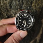 20211125_072737.jpg 20211125_072737.jpg