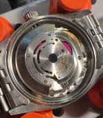 6CF78059-CF31-4DDF-89DB-96E8DC511DA9.jpg