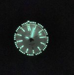 IMG_8442.jpg