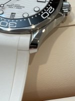 IMG_1400.jpeg