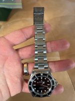 IMG_6028.jpeg