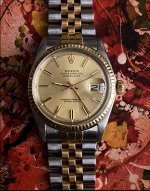 9910E78F-EDC4-4358-9F22-B02AE19BC782.jpeg 9910E78F-EDC4-4358-9F22-B02AE19BC782.jpeg