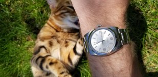 20190506_115828.jpg 20190506_115828.jpg