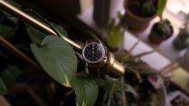 DSC03439.jpg DSC03439.jpg