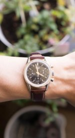 DSC03436.jpg DSC03436.jpg