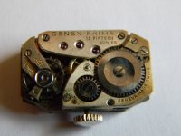 genex 010.JPG