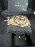 Tudor7.jpeg Tudor7.jpeg
