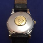 image.jpeg image.jpeg