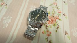 DSCN0789.JPG