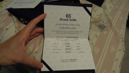 DSCN0809.JPG