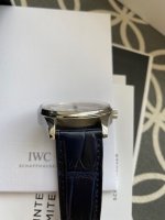 IWC09.jpg