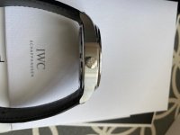 IWC07.jpg