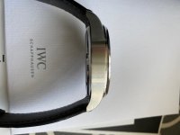 IWC08.jpg