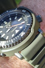 PXL_20221008_185043473.jpg