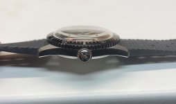 oris 9.jpg