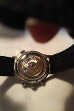 IMG_20190619_0915206.jpg IMG_20190619_0915206.jpg