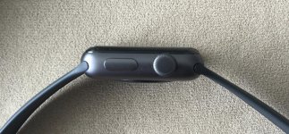fullsizeoutput_485e.jpg