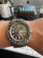 IMG_4222.jpeg