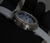 DSC05753.JPG